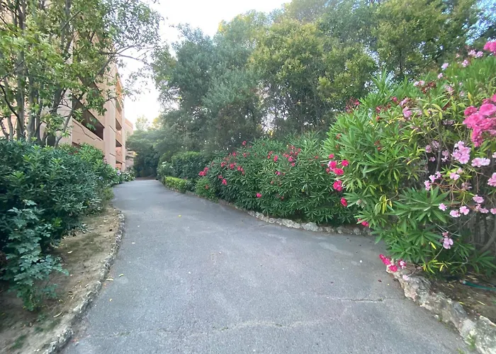 Appartement Face Mer Et Port Santa Lucia Climatise Et Wifi